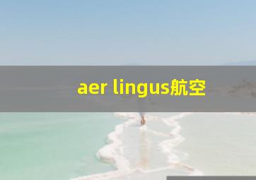 aer lingus航空